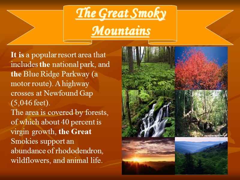 10 The Great Smoky Mountains It is a popular resort area that includes the